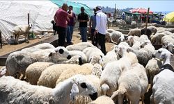 Besicilerden talep: Belediyeler kurban pazar yerlerinden kira almasın!