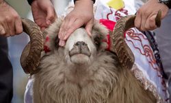 Kurban Bayramı öncesi kesimlere ilişkin tedbirler artırıldı!