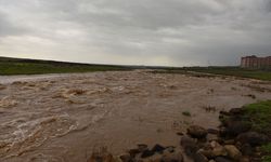 Şanlıurfa'da debi yükseldi çoban mahsur kaldı