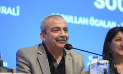 Sırrı Süreyya Önder'siz tam 1 yıl geçti...