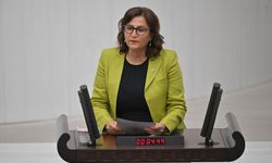 CHP Milletvekili Türkan Elçi: Narin Güran'ın ailesine işkence yapılıyor!