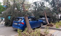 Başkentte kuvvetli fırtına hasara yol açtı!
