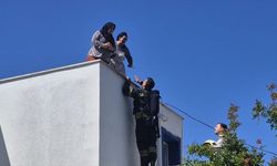 Apartman yangınında can pazarı!