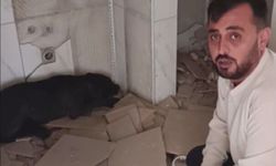 Ağır hasarlı binadan köpeği böyle kurtardı!