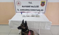 Tomarza’da uyuşturucu operasyonu: 12 kişi tutuklandı