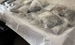 Türkiye'ye sokulmak istenen 47 kilo kokain yakalandı