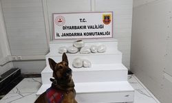 Diyarbakır'da narkotik operasyonu!
