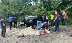 Kediye çarpmamak için plaja uçtu! 4 yaralı
