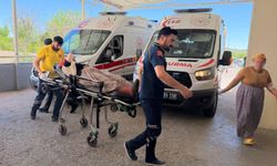 Yılanı vurmak isteyen şahıs 5 kişiyi yaraladı!