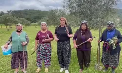 Akbelen’de direniş sonuç verdi
