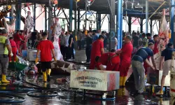 Bayram gelirken dikkat: Sokakta kurban kesip, atıklarını gömenlere 29 bin 529 lira ceza