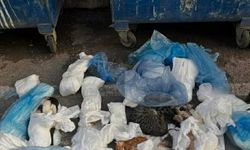 33 kediyi katleden cani tutuklandı!
