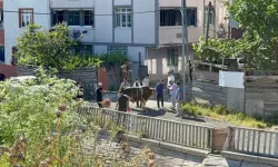 Ekipler işbaşında: Sokakta kurban kesimine ceza yağıyor