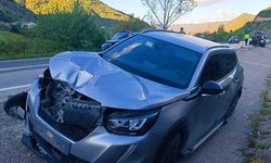 Gümüşhane'de feci kaza