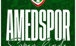 Erdoğan'dan Amedspor'a tebrik