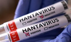 Hantavirüs sebebiyle 4 kişi karantinaya alındı