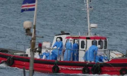 Yeni pandemi gelebilir? Hantavirüs'ü ciddiye almak lazım