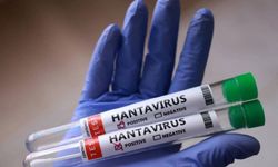Avrupa İlaç Ajansı: Hantavirüs için onaylı tedavi ve aşı yok!