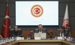 Okul Saldırılarının Nedenlerini Araştırma Komisyonu, akademisyenleri dinledi