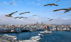 Kurban Bayramı'nda plan yapanlar dikkat