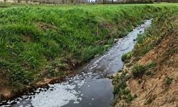 Sinop’ta çevreyi kirleten tesise 1.6 milyon TL ceza