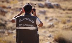 Doğa Koruma ve Milli Parklar personel alacak!