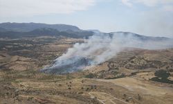 Çanakkale'de korkutan orman yangını