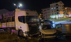 Kırmızı ışıkta geçen TIR dehşet saçtı!