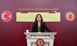 DEM Parti'den 12. Yargı Paketi'ne tepki: Derde derman olmayacak!