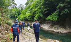 Ordu'da dereye giren kişi boğuldu