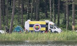 Çılgın Fenerbahçeliler