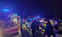 Panelvan yola çıkan ata çarptı: 1 ölü, 2 yaralı