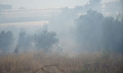 Antalya'da korkutan yangın