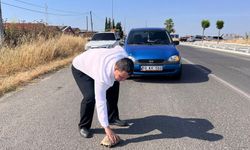 Kaplumbağayı ezilmekten kurtardı