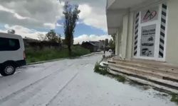 Kar temizler gibi dolu temizlediler