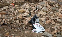 Sağanak sonrası heyelan: Motosiklet toprak altında kaldı, yol kapandı