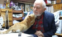 "Sokak kedilerinin dedesi" 81 yaşında can dostlarına yuva oluyor