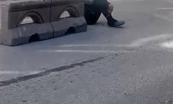 Dakikalarca yol ortasında hareketsizce durdu