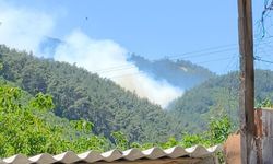 Manisa'da yangın büyüyor: Havadan ve karadan müdahale!