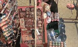 Marketi talan eden çocuklar suç makinesi çıktı!