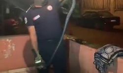 Bulaşık makinesinden 2 metrelik yılan çıktı