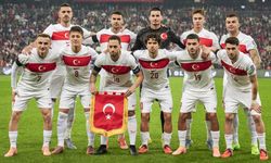 Bodrum'da hediye edilecek villalar için çarpıcı karar