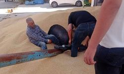 Ayağını hububat elevatörüne kaptıran kişi yaralandı