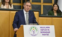 Bakırhan’dan TBMM’ye çerçeve yasa çağrısı: Zemin eşit yurttaşlık, çatı demokratik cumhuriyet