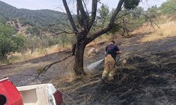 Balıkesir'de korkutan orman yangını