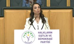 Hatimoğulları: Çerçeve yasa yasama dönemi kapanmadan çıkarılmalı