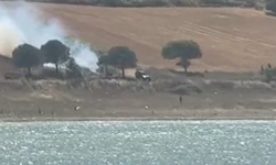 Piknik ateşi çayırlık alanı küle çevirdi