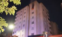 Şanlıurfa'da korkutan yangın