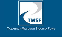ABD'deki FETÖ davasını TMSF kazandı