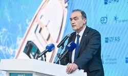 Tugay'ın ardından peş peşe istifalar